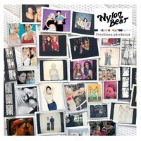 Nylon Beat : Petollinen päiväkirja (2-LP)
