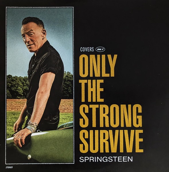 Springsteen, Bruce : Only the strong survive (2-LP)