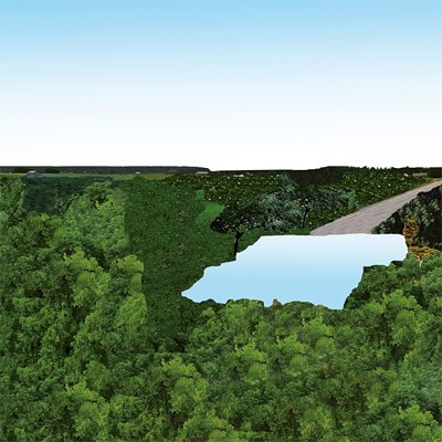 Pöllöt : Pöllöt (LP)