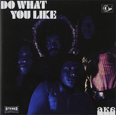 Aka : Do What You Like (CD)