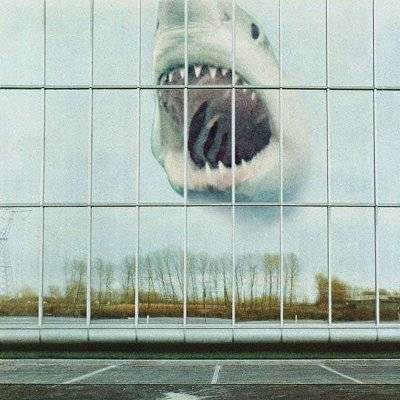 Black Mountain : Wilderness Heart (LP)