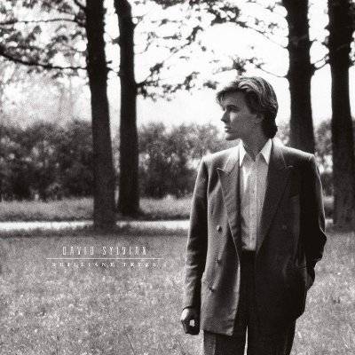 Sylvian, David : Brilliant Trees (LP)
