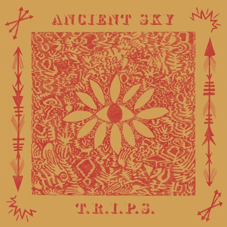 Ancient Sky ‎: T.R.I.P.S. (LP)