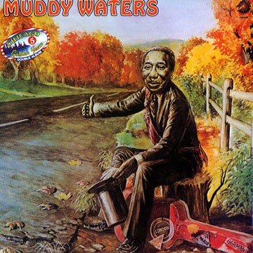 Waters, Muddy : Chicago Golden Years 5 (2-LP)