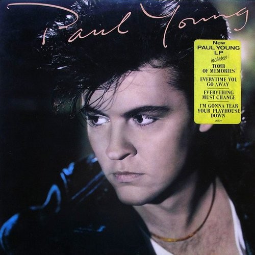 Young, Paul : The secret of association (LP)