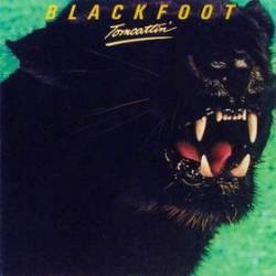 Blackfoot : Tomcattin' (LP)