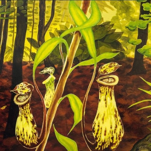 Uhrijuhla : Jokainen on vapaa lintu (LP) punainen vinyyli