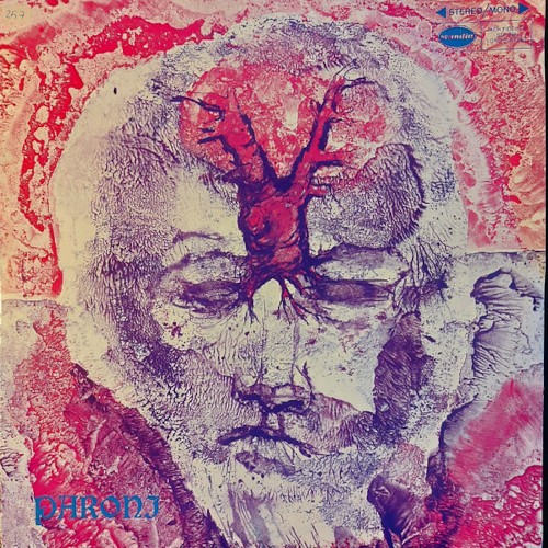 paroni-paakkunainen-plastic-maailma-lp