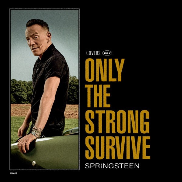 Springsteen, Bruce : Only The Strong Survive (CD)