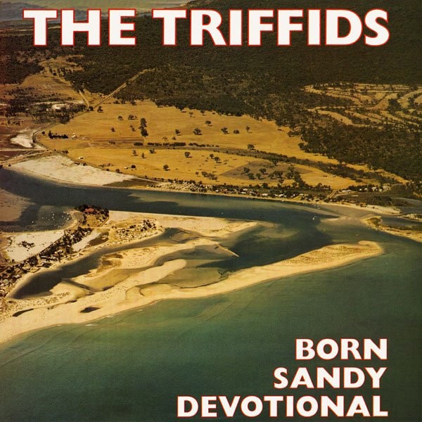 Triffids : Born Sandy Devotional (LP)