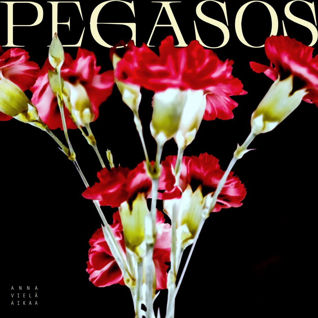 Pegasos : Anna Vielä Aikaa (LP)