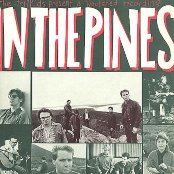 Triffids : In the Pines (LP)