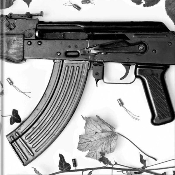 TF100 (2 x 10" + CD) Book