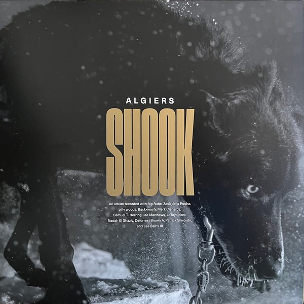 Algiers : Shook (LP)