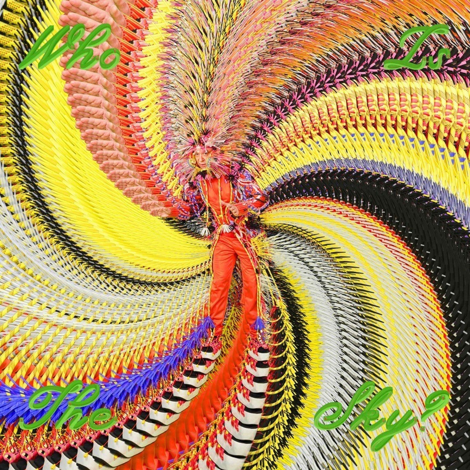 Byrne, David : Who is the sky (2-LP)