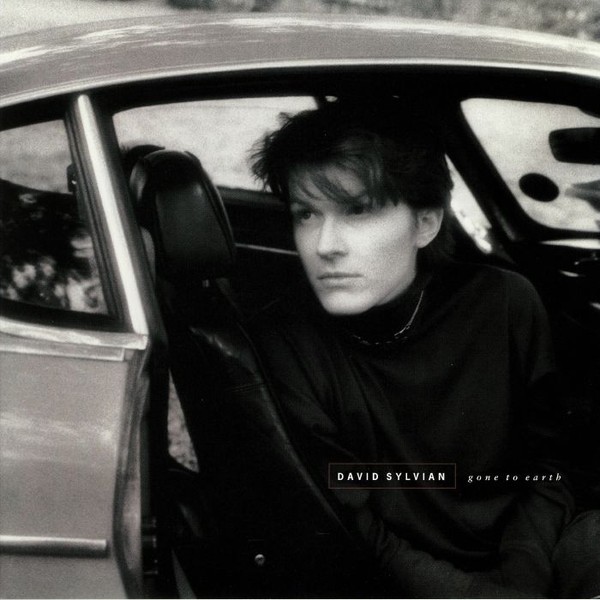 Sylvian, David : Gone to Earth (2-LP)