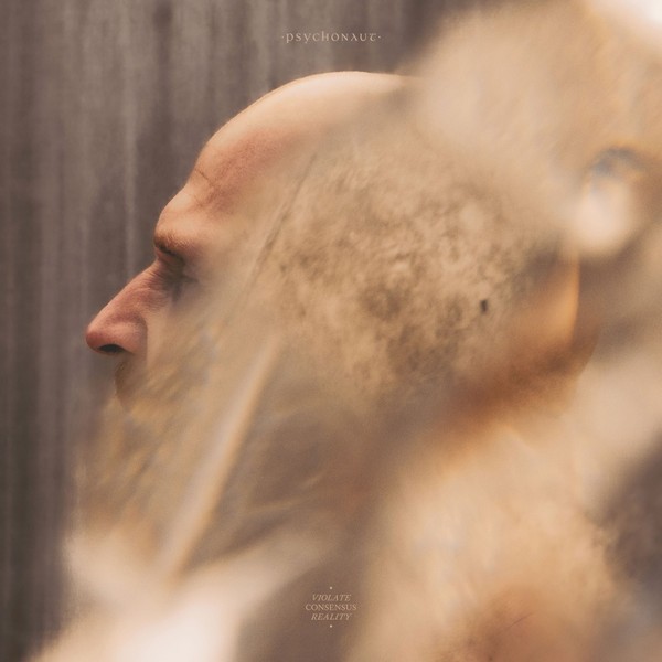 Psychonaut : Violate Consensus Reality (2-LP)