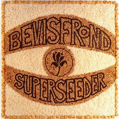 Bevis Frond : Superseeder (2-LP)